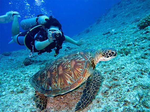 diving
