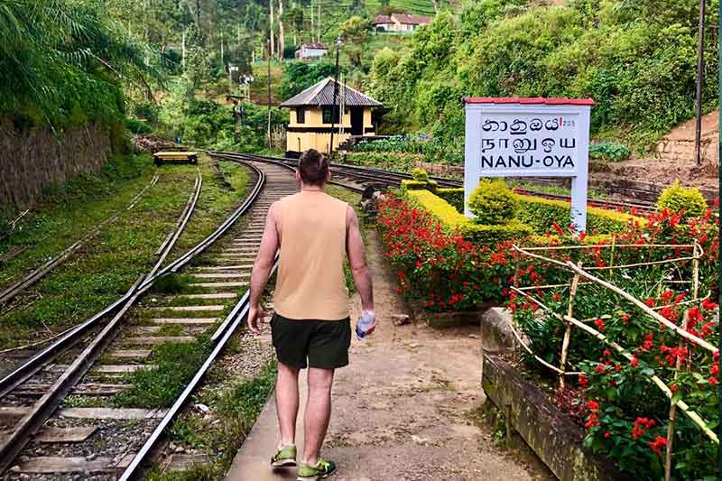 Train from Kandy to Ella