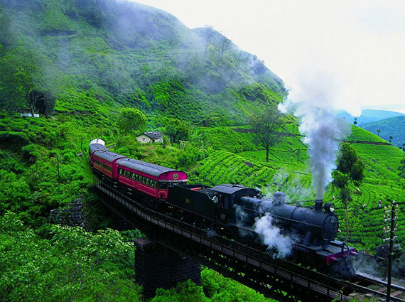 Train Tour Sri Lanka